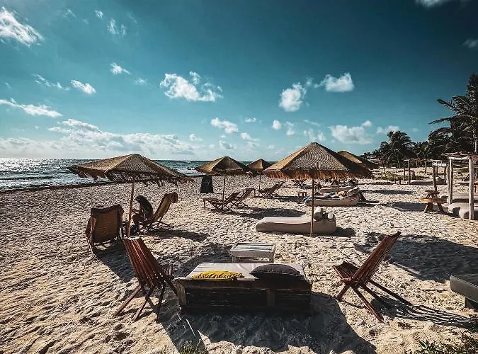 Hotel Orchid House (adults Only) Tulum