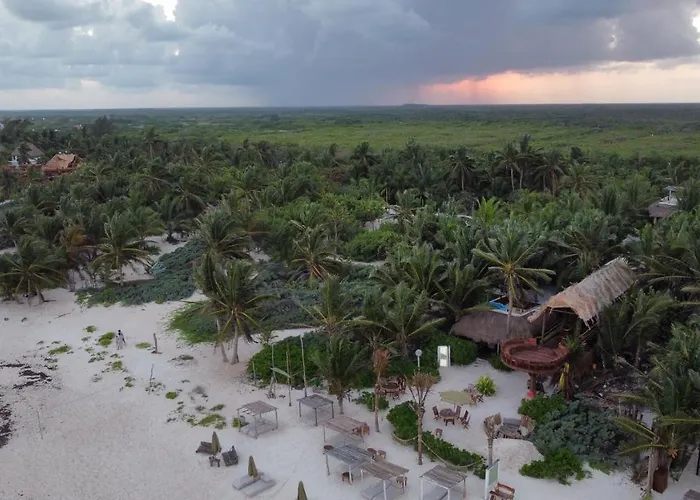 Orchid House (adults Only) Hotel 4*