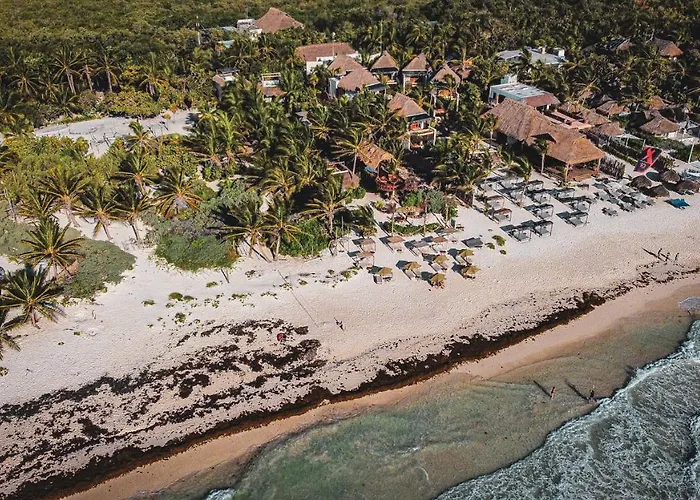 Orchid House (adults Only) Hotel Tulum