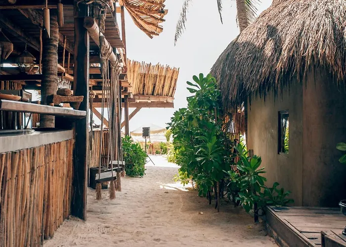 Hotel Orchid House (adults Only) Tulum