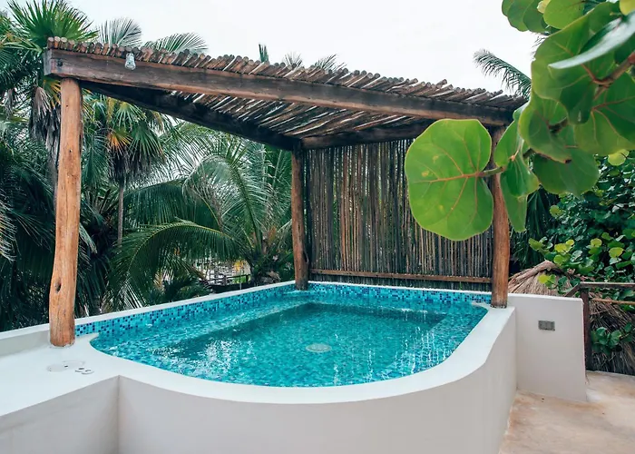 Orchid House (adults Only) Tulum