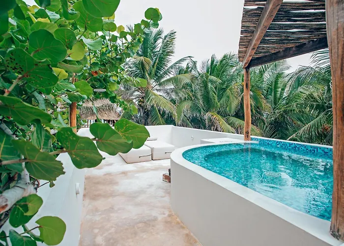 Orchid House (adults Only)