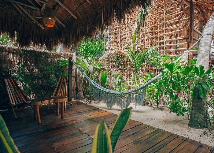 Hotel Orchid House (adults Only) 4*