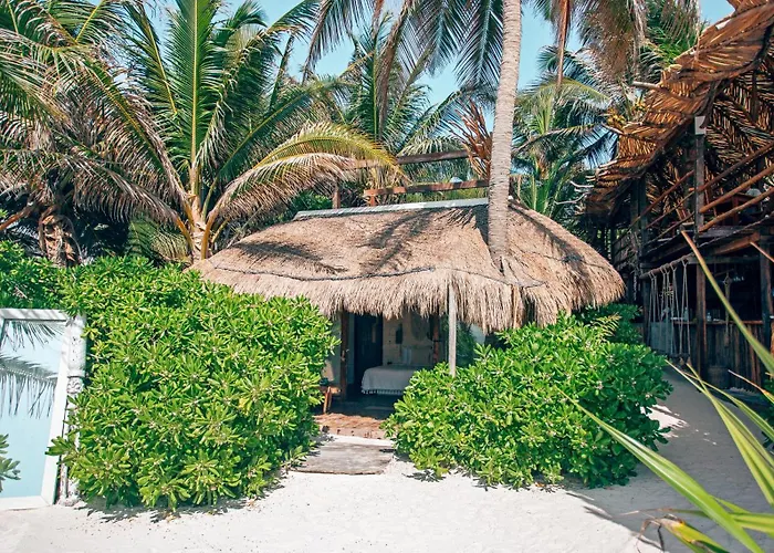 Orchid House (adults Only) Hotel Tulum