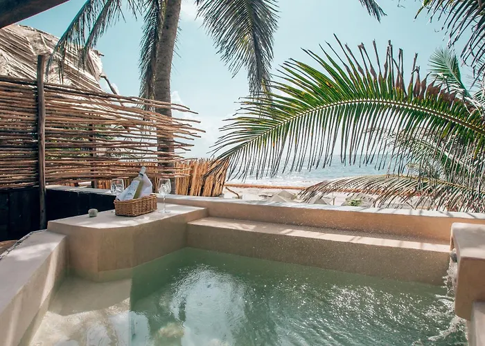Orchid House (adults Only) Hotel 4*
