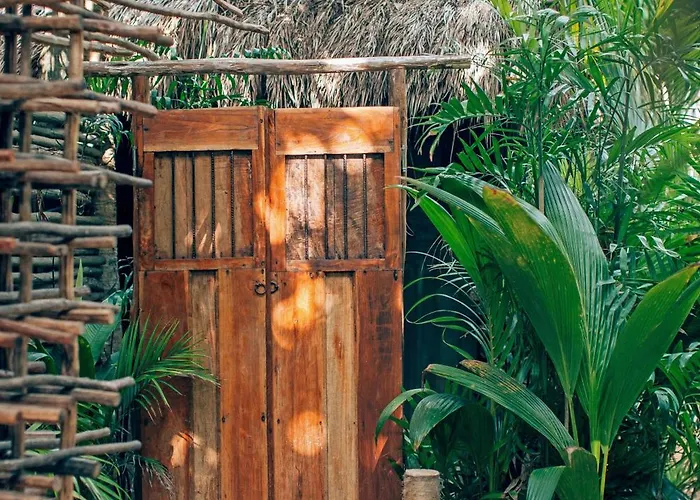 Orchid House (adults Only) Hotel 4*