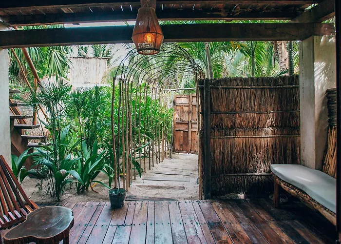 Hotel Orchid House (adults Only)