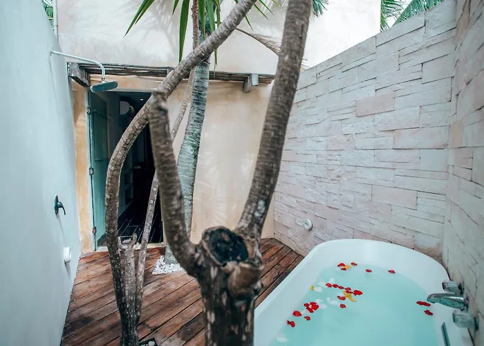 Orchid House (adults Only) 4*