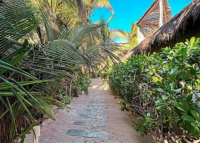 Orchid House (adults Only) Hotel