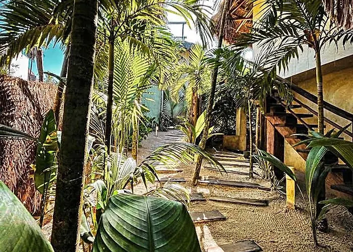 Orchid House (adults Only) Hotel 4*