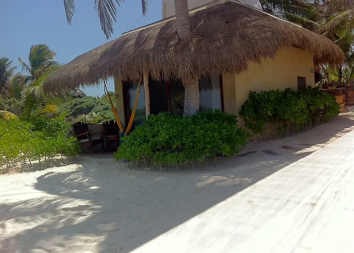 Hotel Orchid House (adults Only) 4*